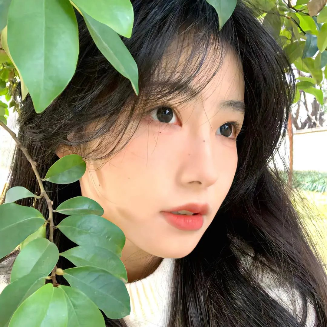时差五小时·破晓季